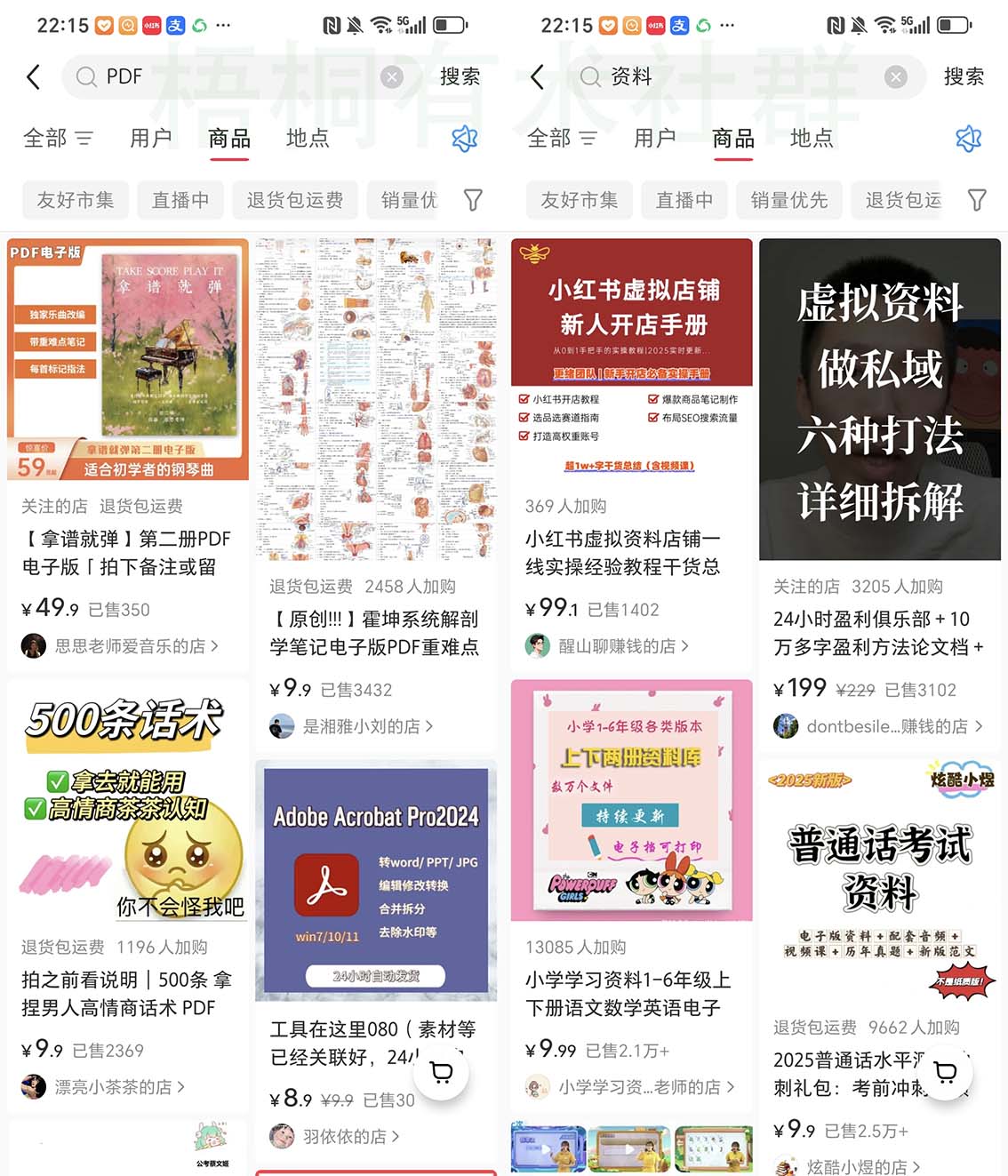 随心说项目:小红书开店卖虚拟产品 自动发货 月入5000上不封顶